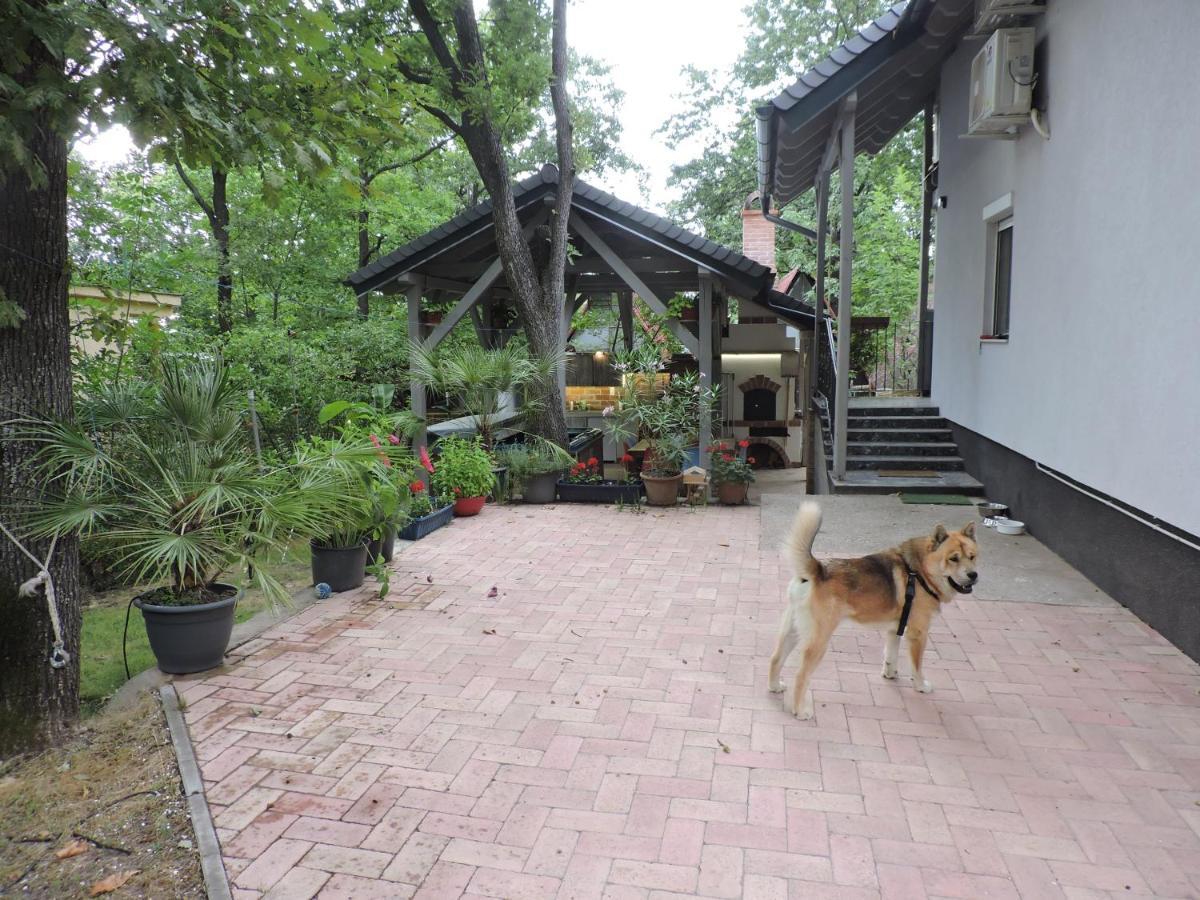 Szepezd Oak Villa Balatonszepezd Exteriör bild